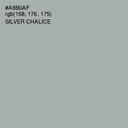 #A8B0AF - Silver Chalice Color Image